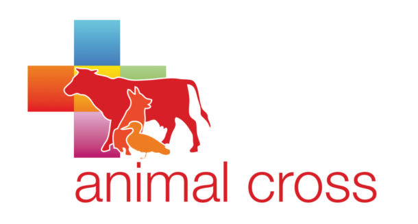 Animal Cross Animal Cross