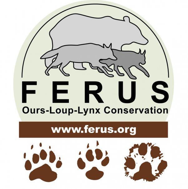 Ferus Ferus