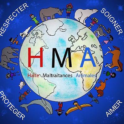 H.M.A H.M.A