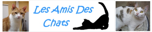 Les Amis des Chats Les Amis des Chats