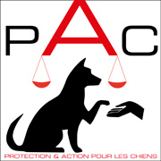 Protection Action Chiens Protection Action Chiens
