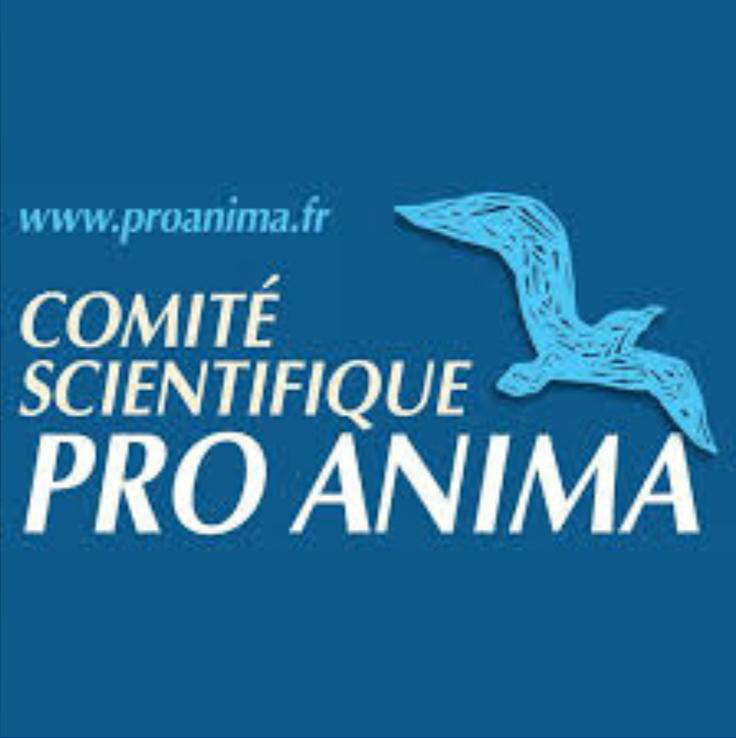 Pro anima Pro Anima